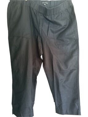 Banana Republic women’s Black Stretch Pull-On Ankle Pants XXL